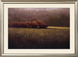 Buy Young Maples at AllPosters.com