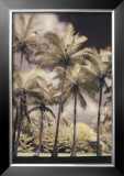 Buy Hawaiian Vintage II at AllPosters.com