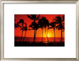 Buy Hawaiian Sunset at AllPosters.com