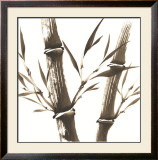Buy Nature's Serenity II at AllPosters.com