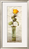 Buy Rose in a Pot IV at AllPosters.com