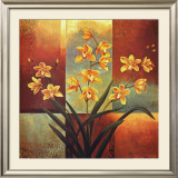Orange Orchid