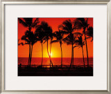 Buy Hawaiian Sunset at AllPosters.com