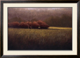 Buy Young Maples at AllPosters.com