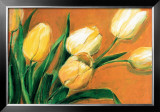 Buy Tulipa Nova at AllPosters.com