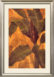 Buy Banana Blossom I at AllPosters.com