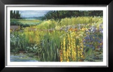 Meadow V