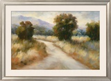 Buy Open Country I at AllPosters.com