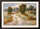 Buy Open Country II at AllPosters.com