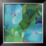 Buy Hydrangeas at AllPosters.com