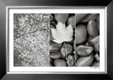 Nature Trio