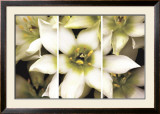 Star of Bethlehem Triptych