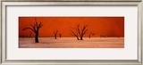 Namibie