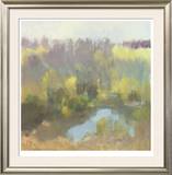 Buy Yellow Pond at AllPosters.com