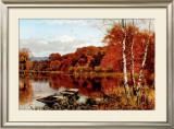 Autumn's Fire