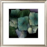 Rhapsody II