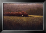 Buy Young Maples at AllPosters.com