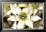 Star of Bethlehem Triptych
