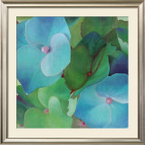 Buy Hydrangeas at AllPosters.com