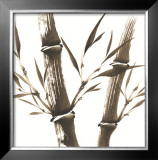 Buy Nature's Serenity II at AllPosters.com