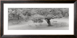 Buy Lakeside Park at AllPosters.com