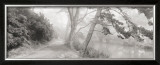 Buy Stow Lake at AllPosters.com