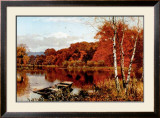Autumn's Fire
