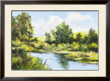 Buy The Pond at AllPosters.com