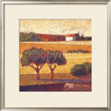 Buy Villa Giusto at AllPosters.com