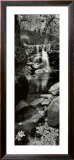 Buy Coquille River, Oregon at AllPosters.com
