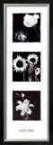 Buy Black and White at AllPosters.com