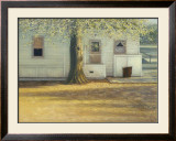 Buy Sunlit Oak at AllPosters.com
