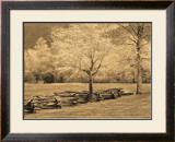 Buy Smokies Fence at AllPosters.com