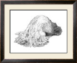 Abstract Creature with Black Grain