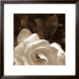 Buy Gardenia Garden at AllPosters.com