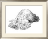 Abstract Creature with Black Grain
