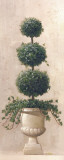 Three Ball Topiary