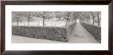 Buy Hornbeam Harbor at AllPosters.com