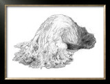 Abstract Creature with Black Grain