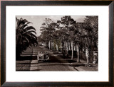 On the Avenue