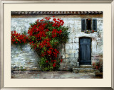 Casafina