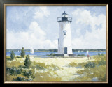 Buy Henry's Walk at AllPosters.com