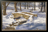 Buy Shadows and Light at AllPosters.com