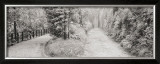 Buy Parallel Paths at AllPosters.com