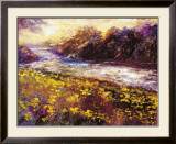 Buy Contraluz at AllPosters.com
