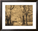 Buy Smokies Road at AllPosters.com