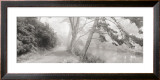Buy Stow Lake at AllPosters.com