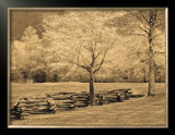 Buy Smokies Fence at AllPosters.com