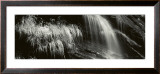 Buy Soazza, Tessin at AllPosters.com