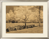 Buy Smokies Fence at AllPosters.com